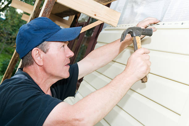 Best Custom Trim and Detailing for Siding  in Hilltop, MN